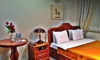 מלון Altintas צ'ורלו